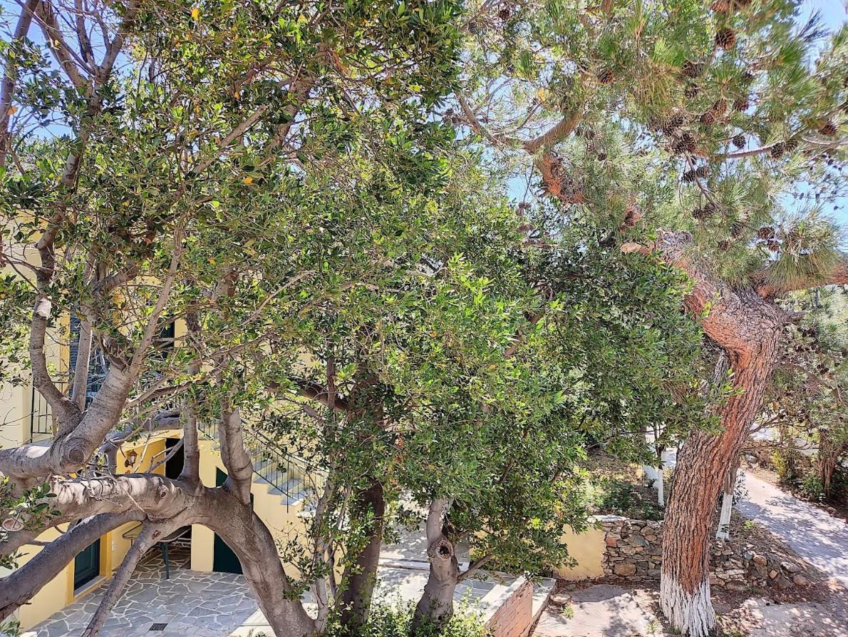 Eva'S Place Karystos  Exterior photo